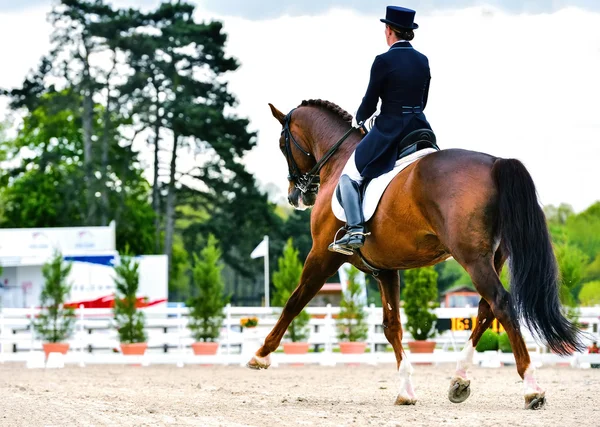 Cavaleiro de cavalo e mulher de curativo - trote estendido — Fotografia de Stock