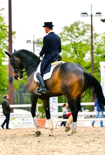 Dressage horse and rider — Stock Photo, Image