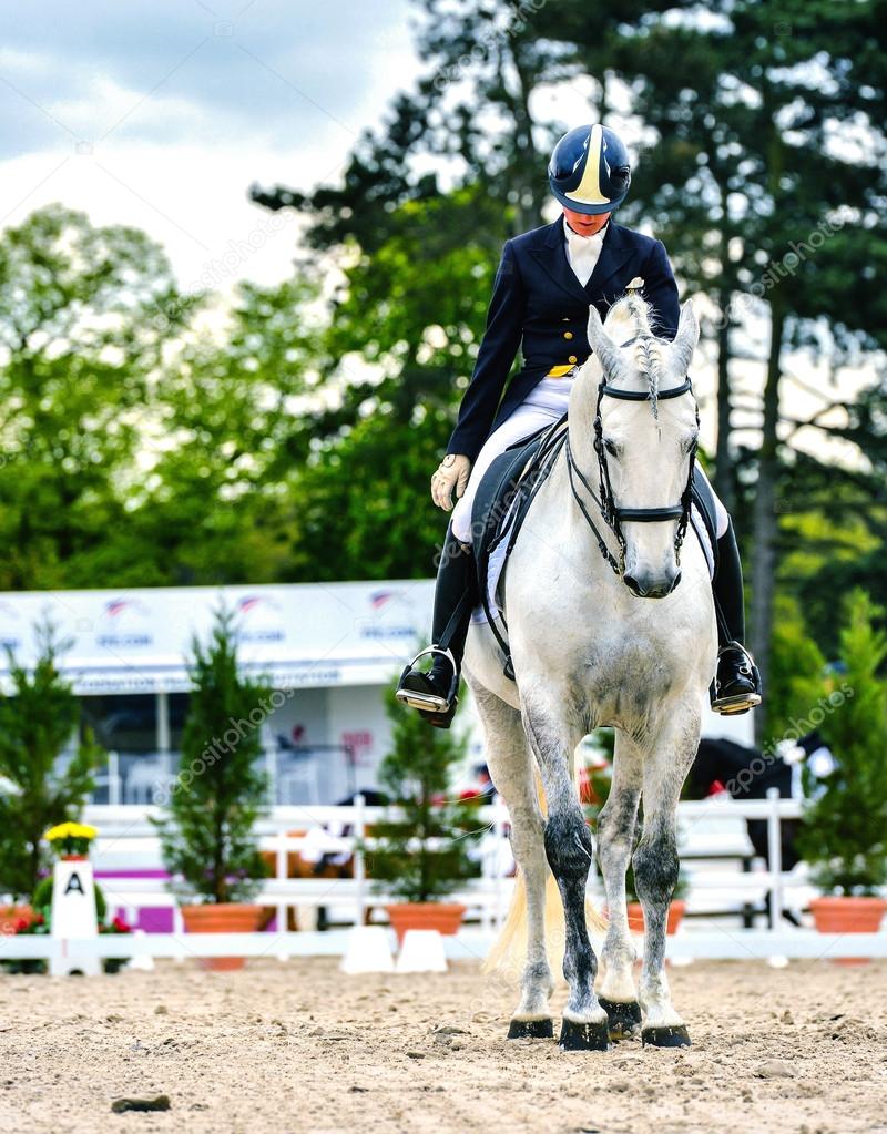 dressage horse and woman rider