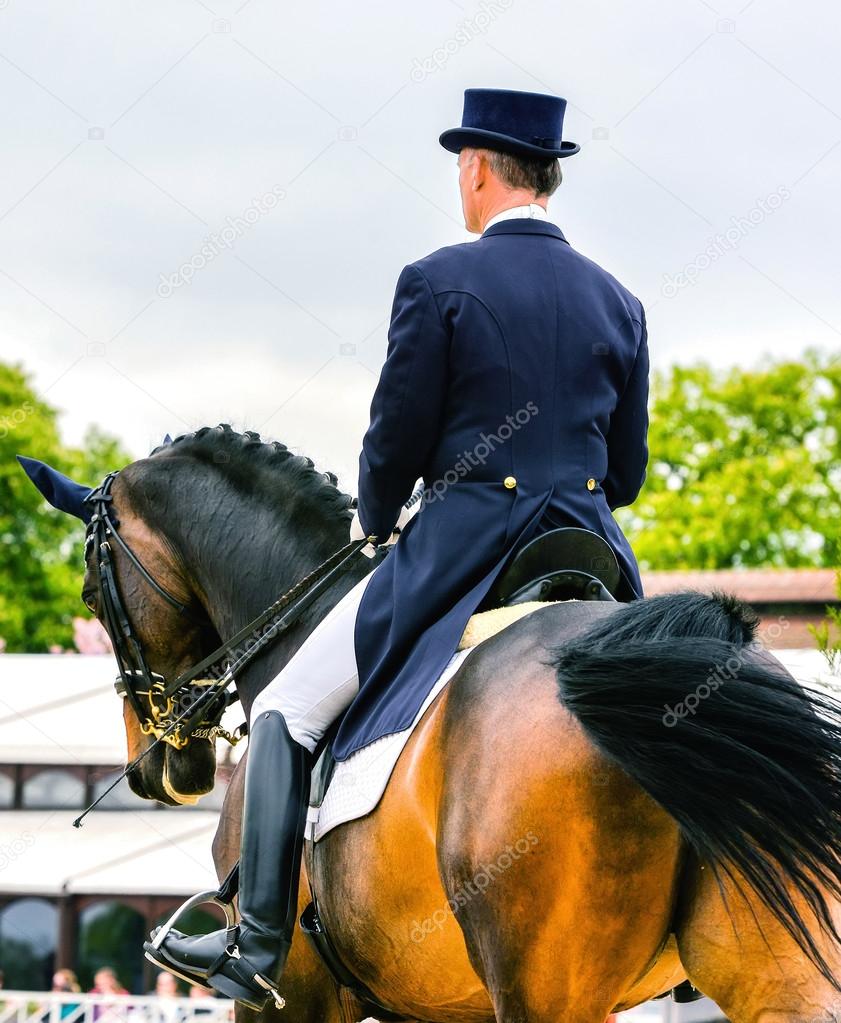 dressage horse and rider