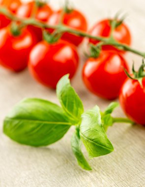 asma üzerinde domates