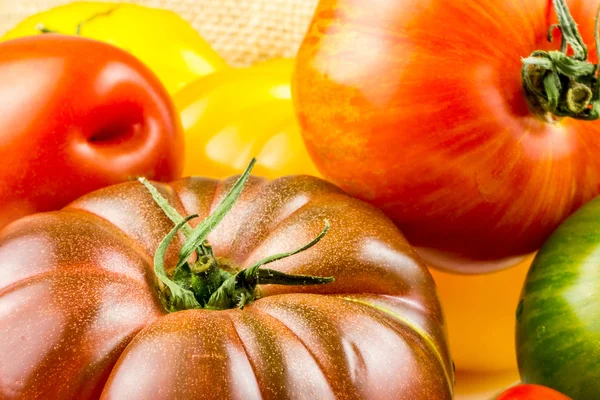 Many varieties of colorful tomatos — Stock Photo, Image