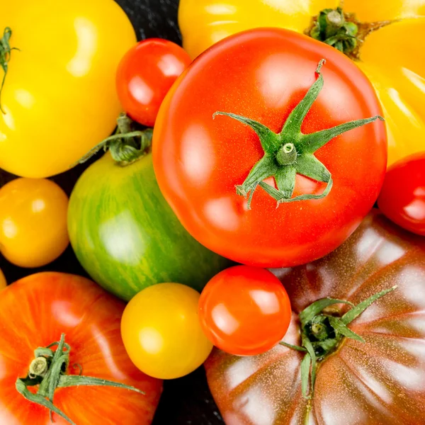 Many varieties of colorful tomatos — Stock Photo, Image