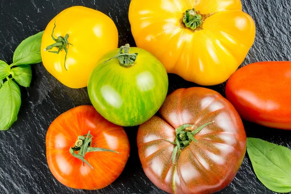 Many varieties of colorful tomatos — Stock Photo, Image