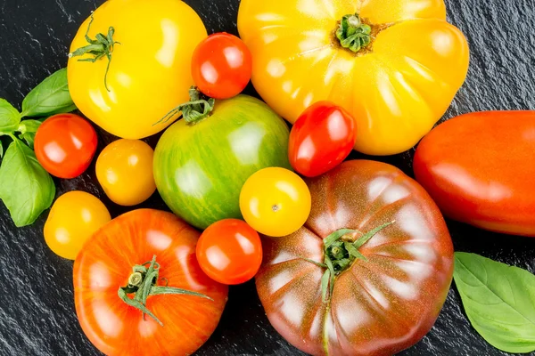Many varieties of colorful tomatos — Stock Photo, Image