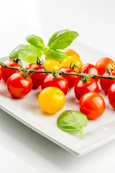 Primer plano de tomate colorido en la vid — Foto de Stock