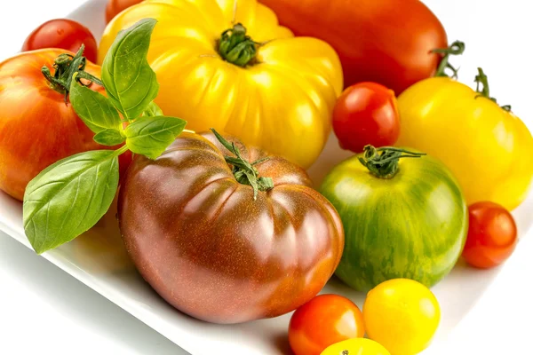 Muchas variedades de tomates coloridos — Foto de Stock