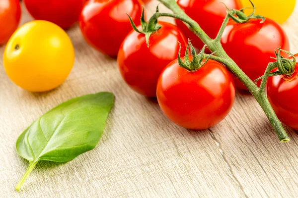 Tomates cherry en la vid — Foto de Stock