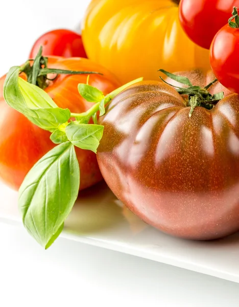 Muchas variedades de tomates coloridos — Foto de Stock