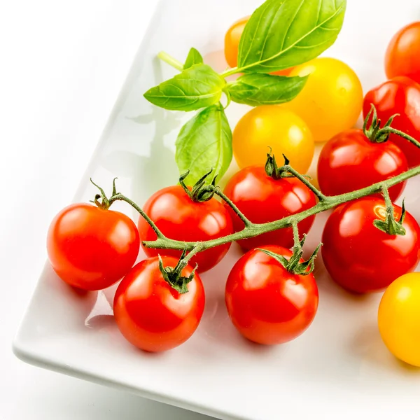 Closeup of colorful tomato on the vine — Stock Photo, Image