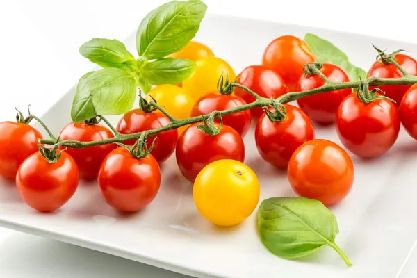 Closeup of colorful tomato on the vine — Stock Photo, Image