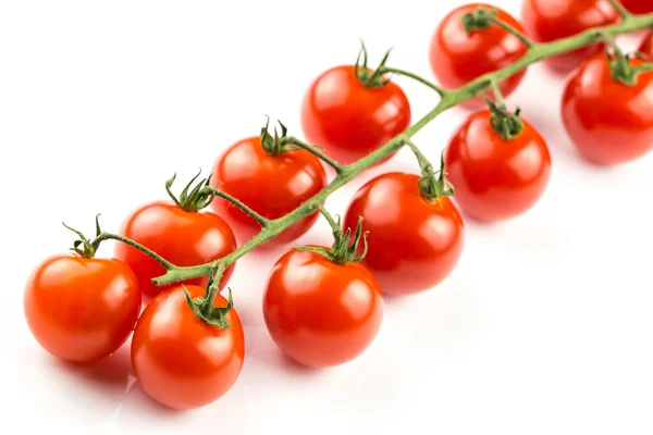 Tomates cerises sur la vigne — Photo