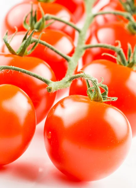 Tomates cherry en la vid — Foto de Stock