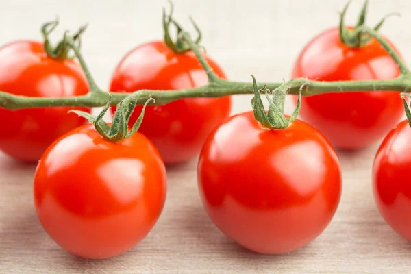 Tomates cherry en la vid — Foto de Stock