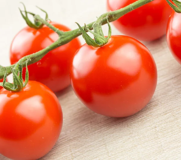 Tomates cerises sur la vigne — Photo
