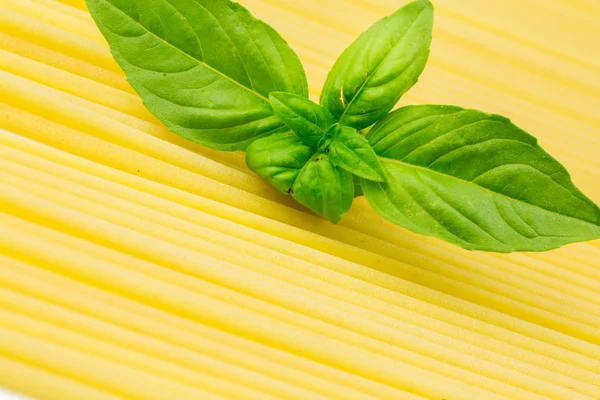 Spaghetti with basil leaf — Stock Photo, Image