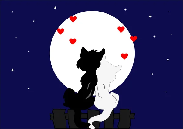 猫咪情人节贺卡欣赏夜晚的天空 — 图库矢量图片
