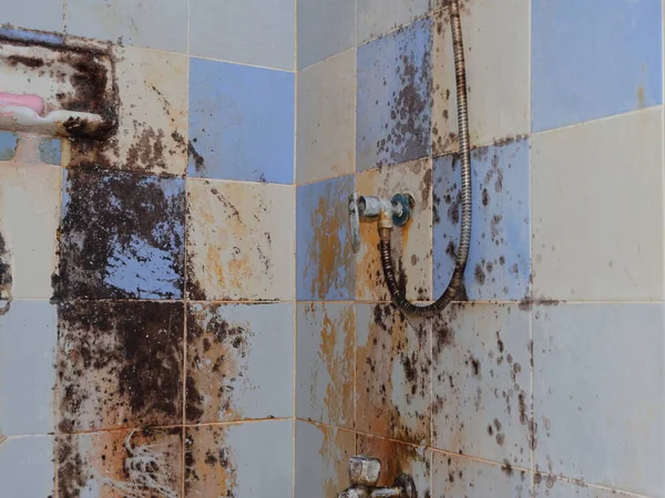 Selective Focus Shower Hose Covered Mold Neglected Restroom Fulls Mold ストック写真
