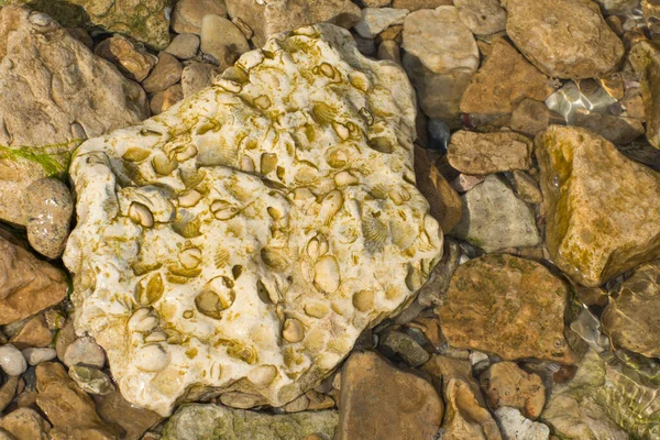 Batu Karang Dan Kerikil Pantai Laut Latar Belakang Yang Indah — Stok Foto