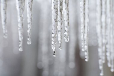 The icicles are melting from eaves of roof in end of winter. Thaw and ice melting. Drops of water slowly fall of a roof. Blurred background and bokeh.