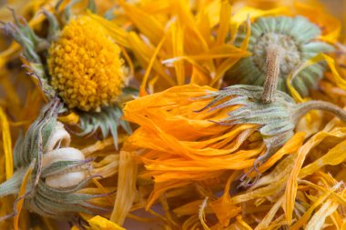 Kurutulmuş takvim resmi yapraklar ve çiçekler. Aromatik ve iyileştirici çaya hazır. Seçici odaklanma. Makro fotoğraf.
