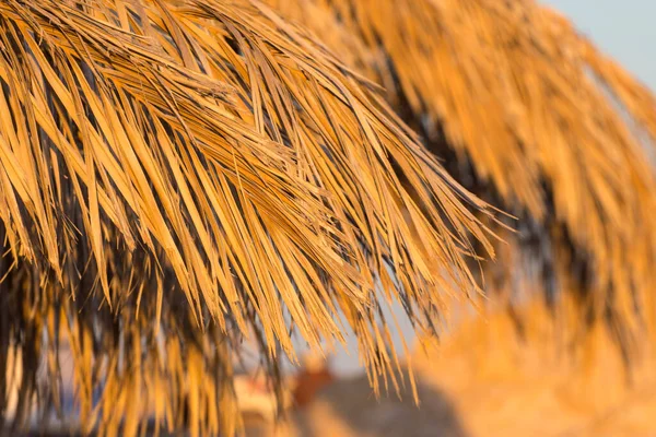 Textur Trockener Palmblätter Sonnenschirm Aus Natürlichen Palmzweigen Auf Dem Resort — Stockfoto