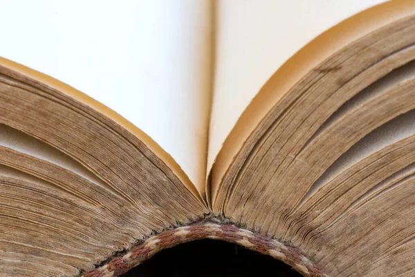 Відкриті Сторінки Старої Книги Вид Збоку Тло Сторінок Або Текстура — стокове фото