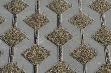 Sonbaharda kurumuş çimenlerle kiremit döşemek. Desenli desenli arkaplan.