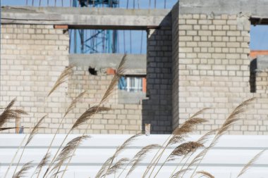 Terk edilmiş inşaat alanı. Bitmemiş konut binası.