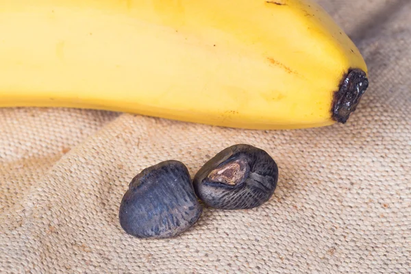 Primeros planos de semillas de plátano —  Fotos de Stock