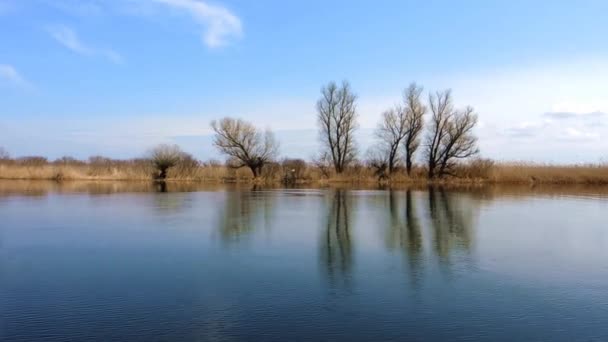 Вид на річку — стокове відео