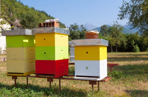 Multi-gekleurde bee hive — Stockfoto