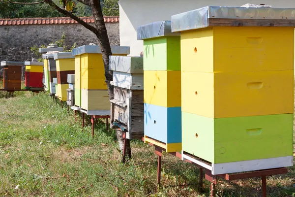 Colmeia de abelhas multi-coloridas — Fotografia de Stock