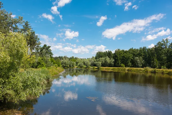 Oever van het groene meer — Stockfoto