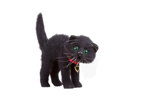 Kara kedi savunmaya hazır