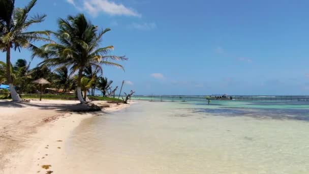 Maagd Ongerept Caribisch Strand Uitzicht Een Drone Gouden Zon Helder — Stockvideo