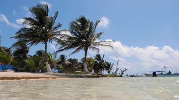 Vergine Spiaggia Caraibica Incontaminata Messico Sole Dorato Luce Intensa Spiagge — Video Stock