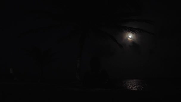 カリブ海での休暇中 海と夜のヤシの木の上の月 潮の満ち引きで月を見るのをリラックス 海の月の反射 — ストック動画