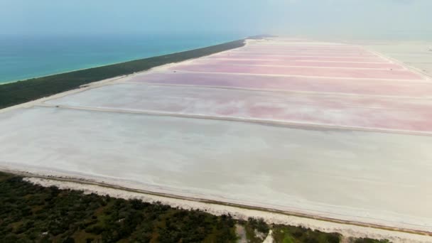 Dron Aéreo Playa Sal Rosa Yucatán Las Coloradas Playa Sal — Vídeo de stock