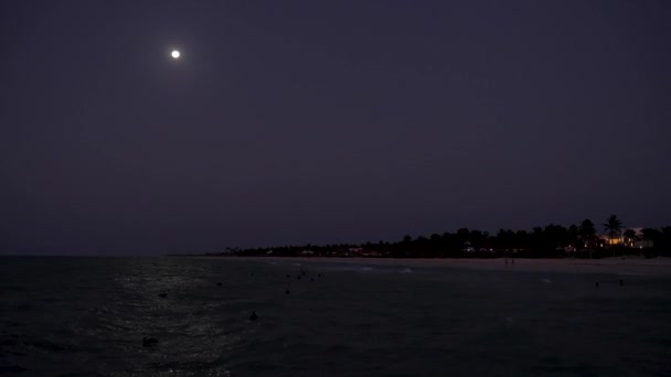 カリブ海沿岸の夕暮れ時に給餌するペリカン 日没時に魚を食べるために水に飛び込むペリカンの群れ メキシコのユカタンのビーチで魚を捕まえる鳥 夜明けと満月の下で多くのペリカン狩り — ストック動画