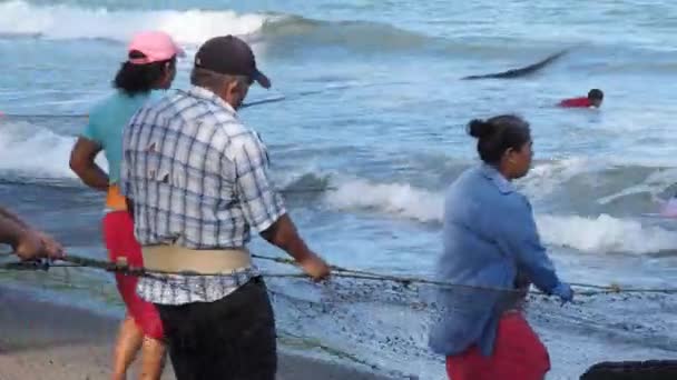 Pesca Colectiva Artesanal Playa Hermosa México Pesca Tradicional Subsistencia Consiste — Vídeos de Stock