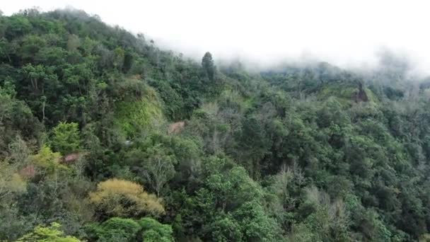 Reizen Met Een Busje Door Mist Jungle Rustiek Uitzicht Drone — Stockvideo