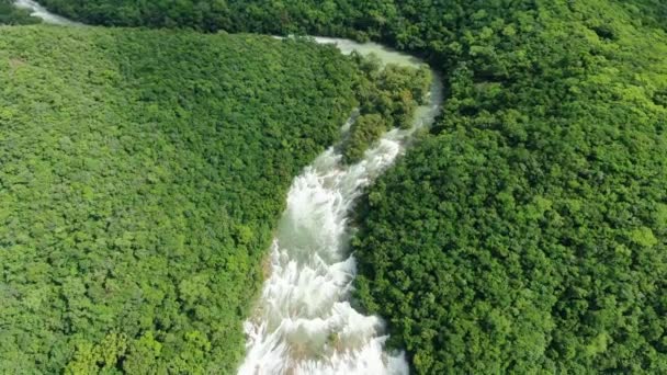 Drone Aéreo Salvaje Del Paisaje Cascada Tamul Impresionante Virgen Bosque — Vídeos de Stock