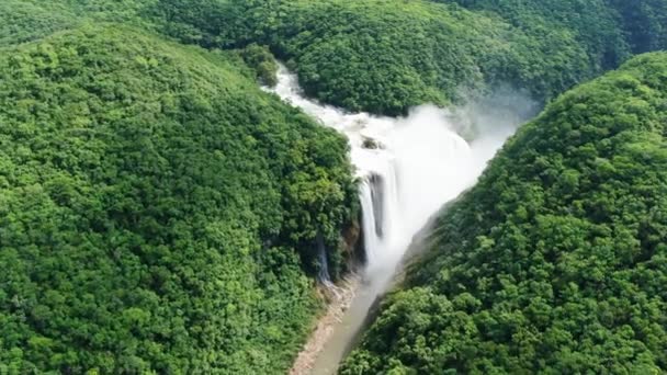 Drone Aéreo Salvaje Del Paisaje Cascada Tamul Impresionante Virgen Bosque — Vídeos de Stock
