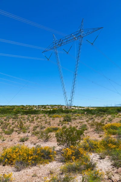 Transmission line towers — Stock Photo, Image