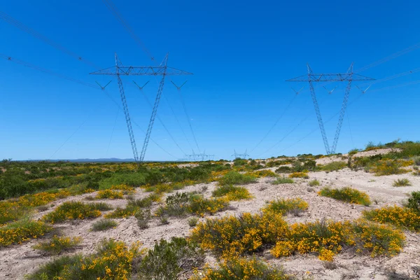 Transmission line towers — Stock Photo, Image