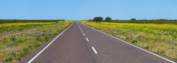 Carretera — Foto de Stock