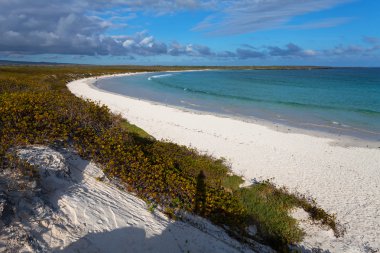 plaj tortuga bay Island santa crus