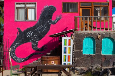pembe duvar grafiti