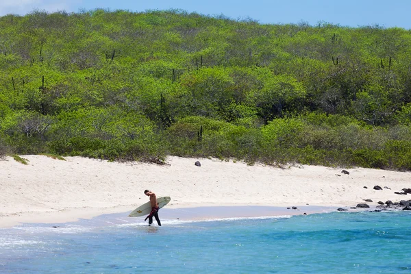 Счастливый серфер покидает океан — стоковое фото